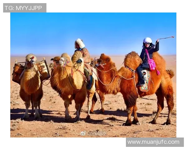 没胆子的不要来！草原开打极限规矩！赢了还能牵走一头牛